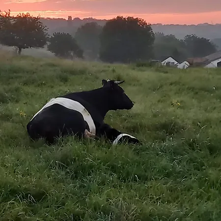 De Zonnehoed Semesterbostad