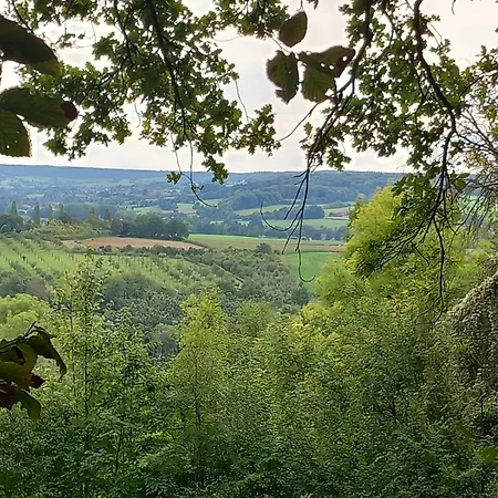 De Zonnehoed Σπίτι διακοπών Simpelveld