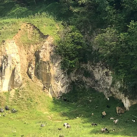 De Zonnehoed Σπίτι διακοπών