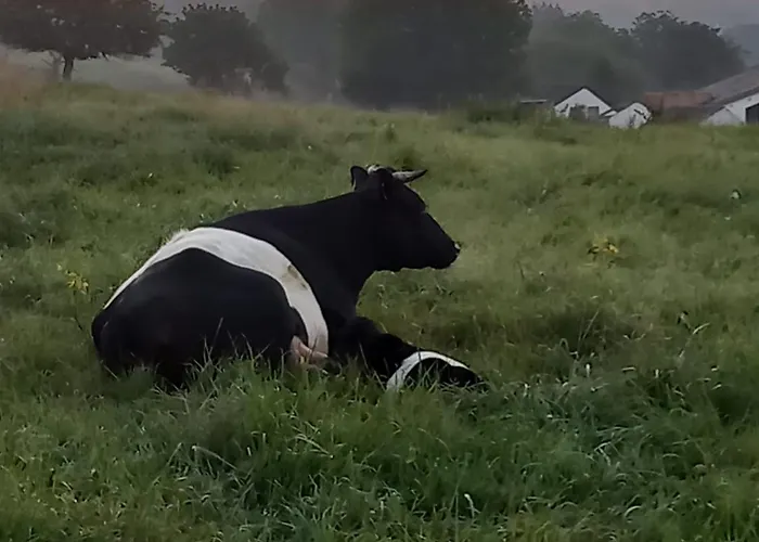 De Zonnehoed Дом отдыха