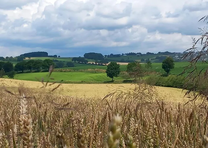 Дом отдыха De Zonnehoed