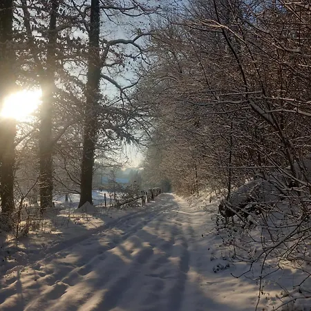 De Zonnehoed *