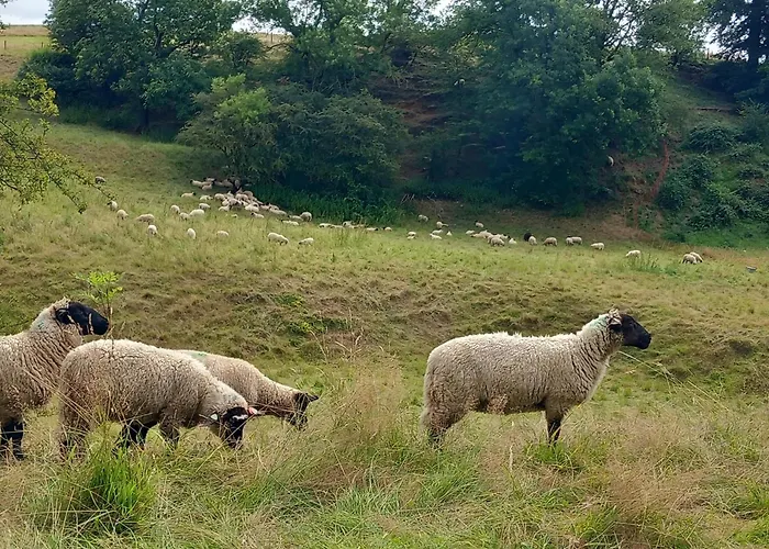 De Zonnehoed Feriehus Simpelveld