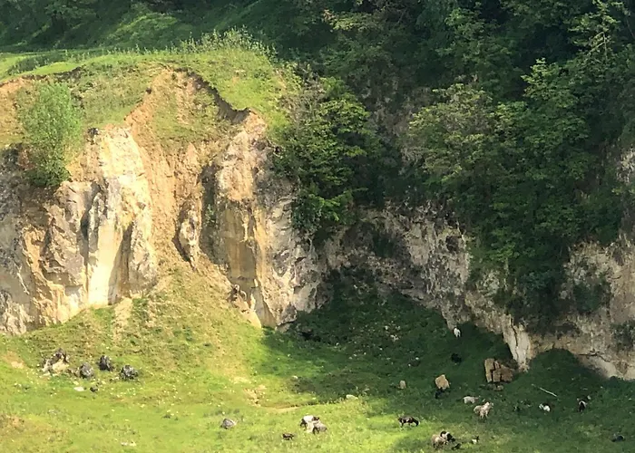 De Zonnehoed Feriehus
